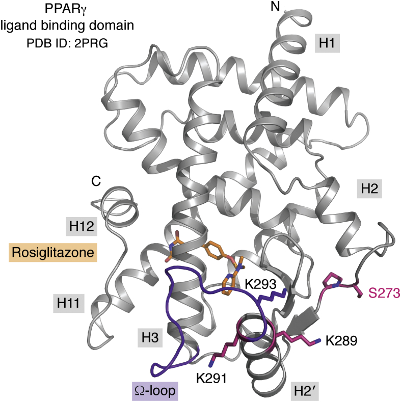 Figure 2