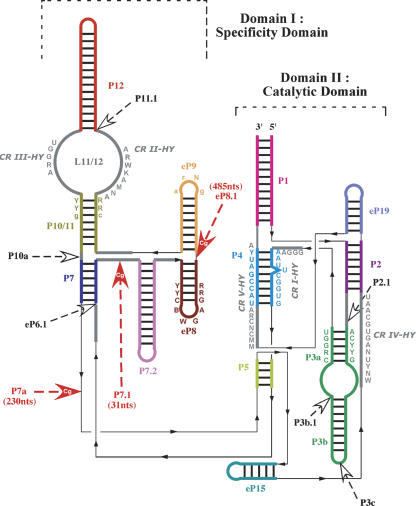 FIGURE 3.