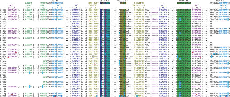 FIGURE 4.