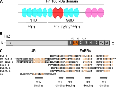 FIGURE 1.