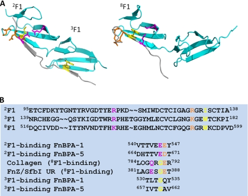 FIGURE 5.