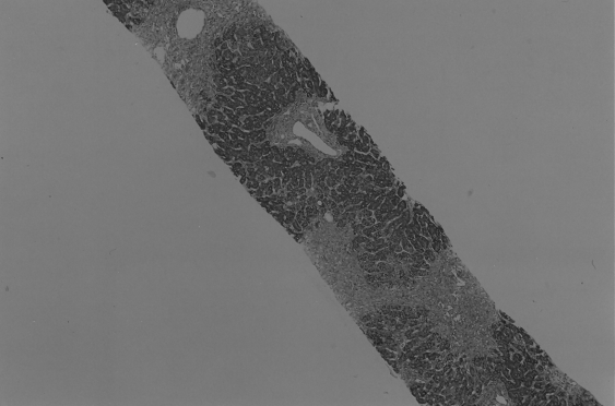 Figure 3)