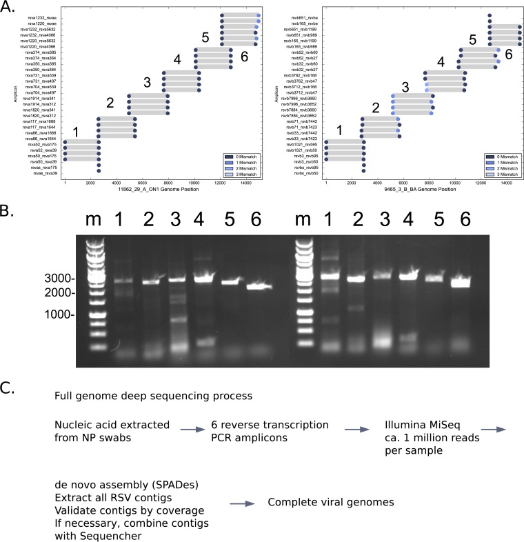 FIG 1