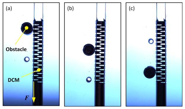 Fig. 6