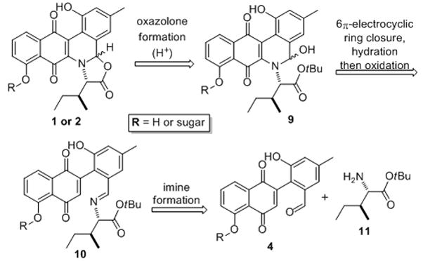 Scheme 2