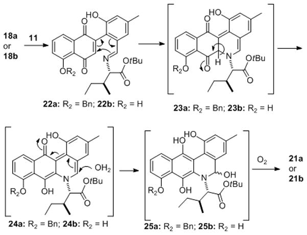 Scheme 5