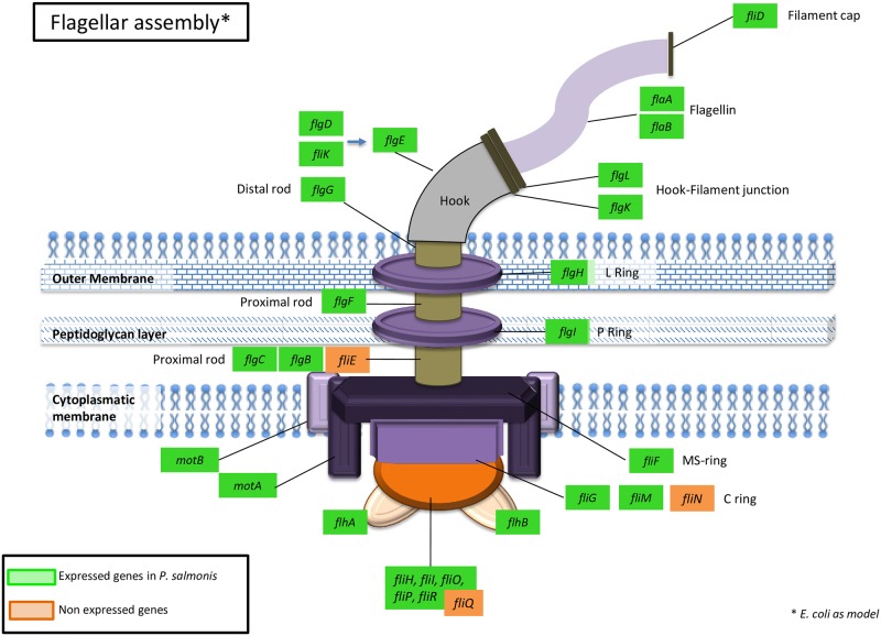 Fig 2