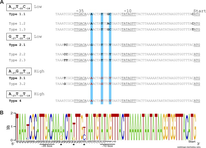 FIG 3