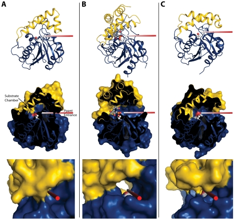 FIGURE 4.