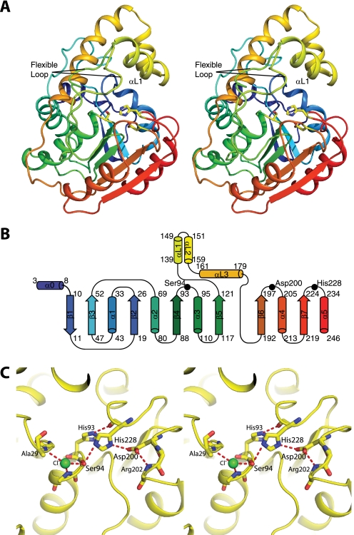 FIGURE 3.