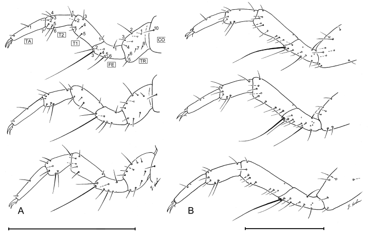 Figure 12.