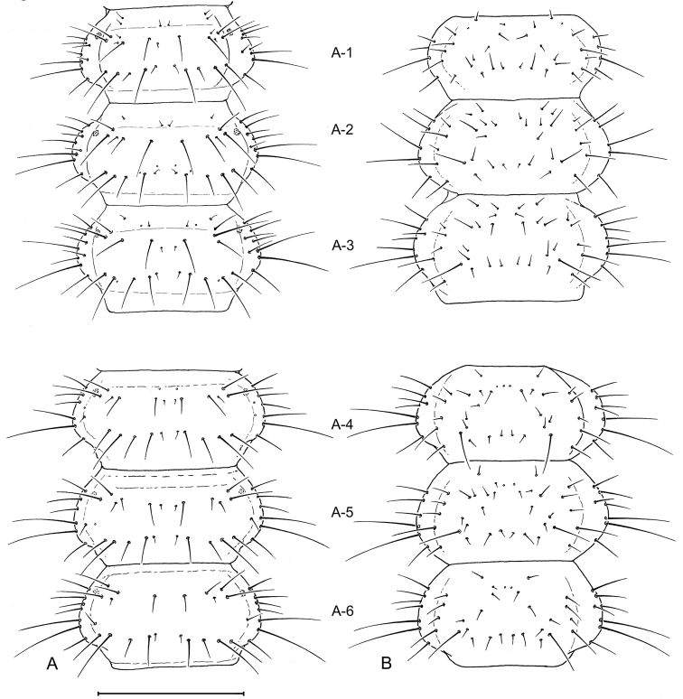 Figure 10.