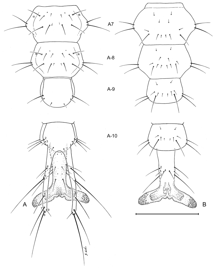 Figure 7.