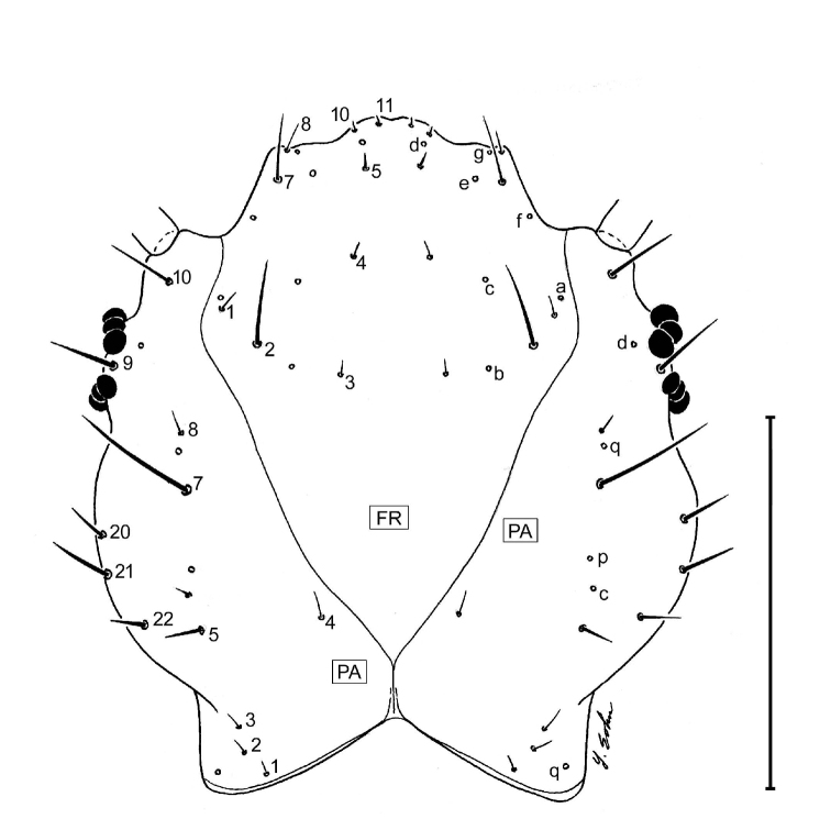 Figure 14.