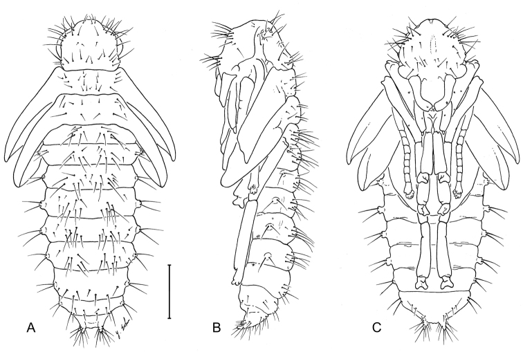 Figure 13.