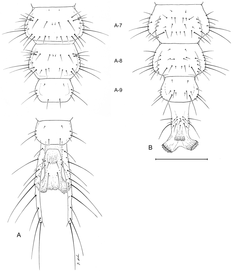 Figure 11.