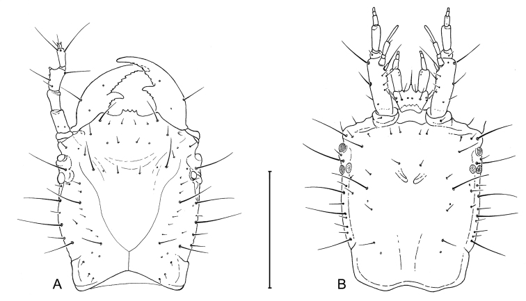 Figure 8.