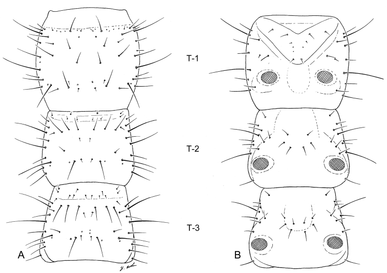 Figure 9.