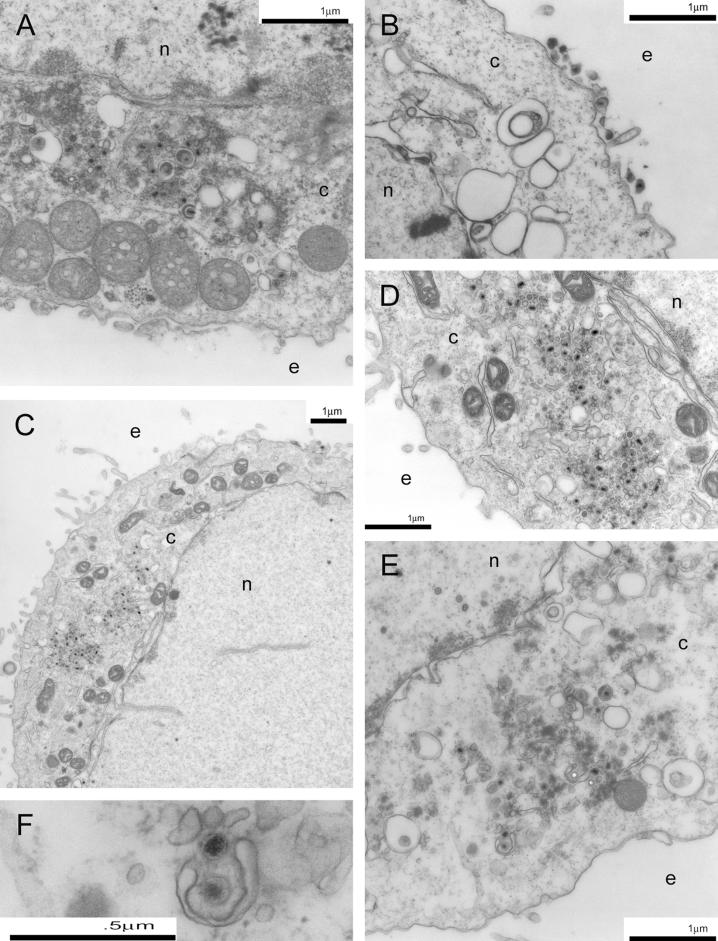 FIG. 7.