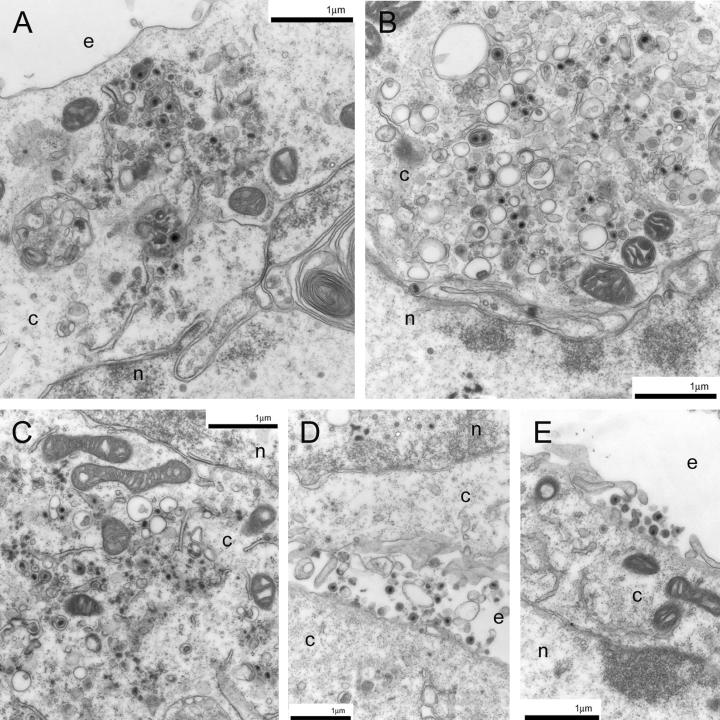 FIG. 8.