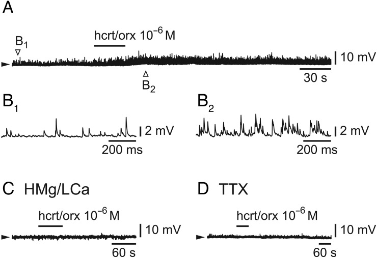 Figure 4.