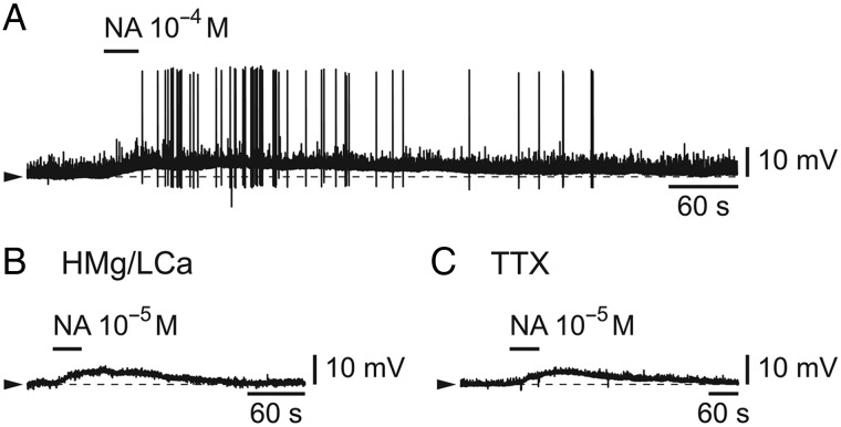 Figure 6.