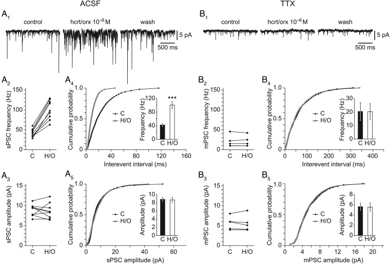 Figure 5.