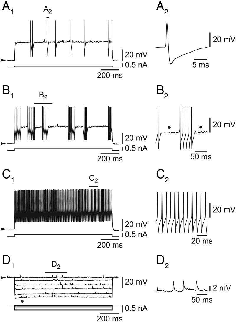 Figure 2.