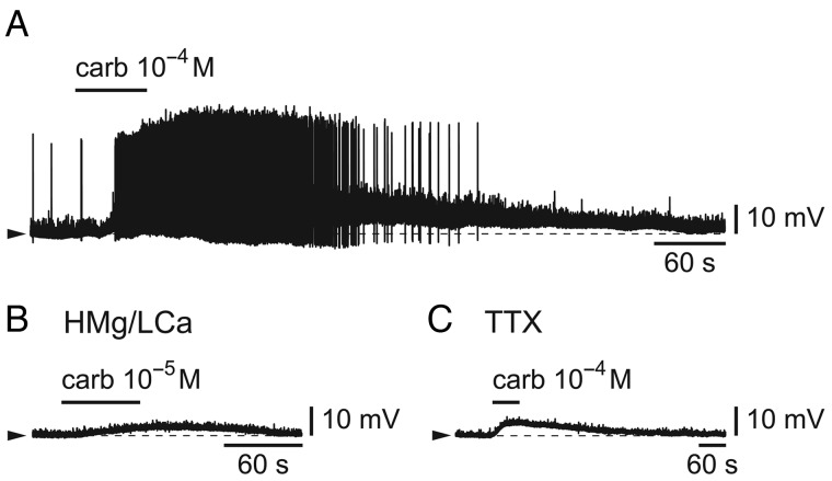 Figure 7.