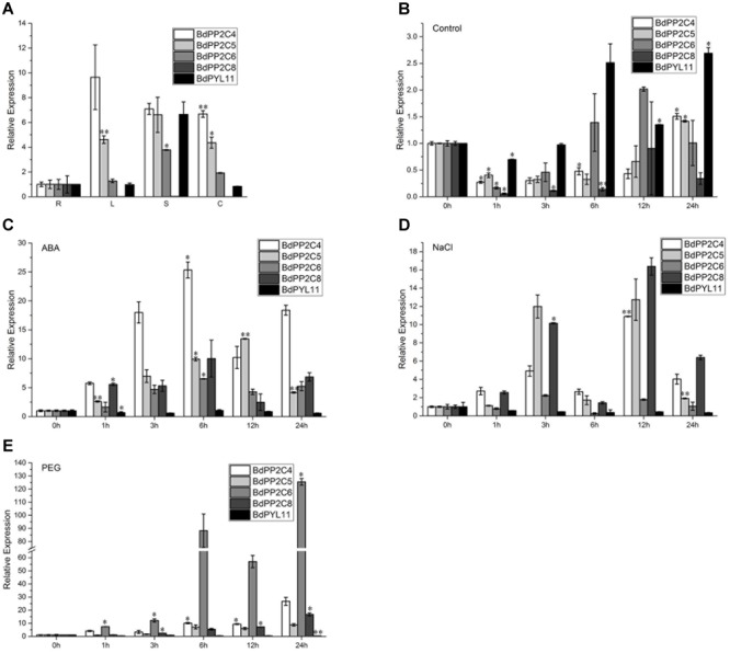 FIGURE 3