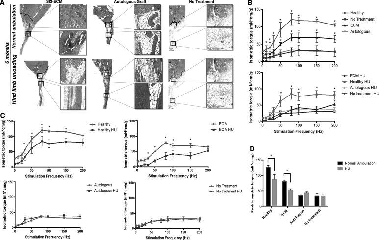 FIG. 8.