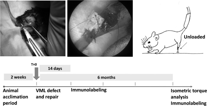 FIG. 6.