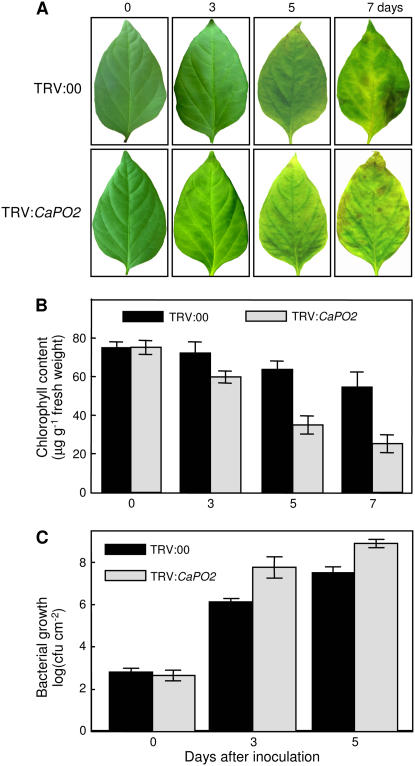 Figure 5.