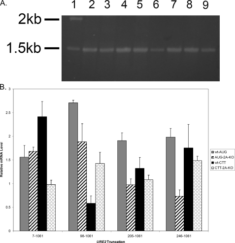 FIGURE 4.