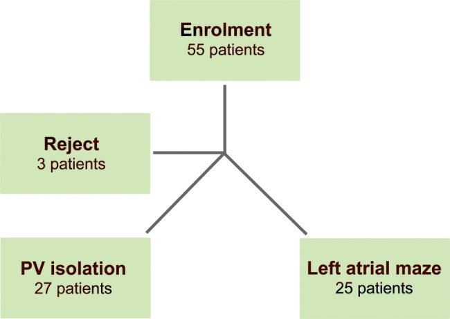 Figure 1: