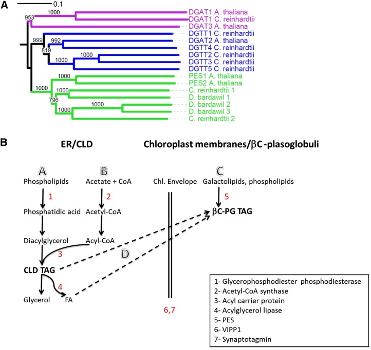 Figure 6.