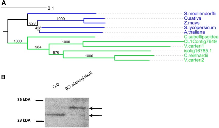 Figure 7.