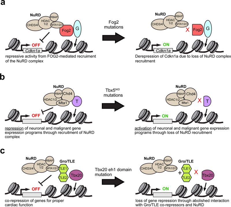 Figure 2: