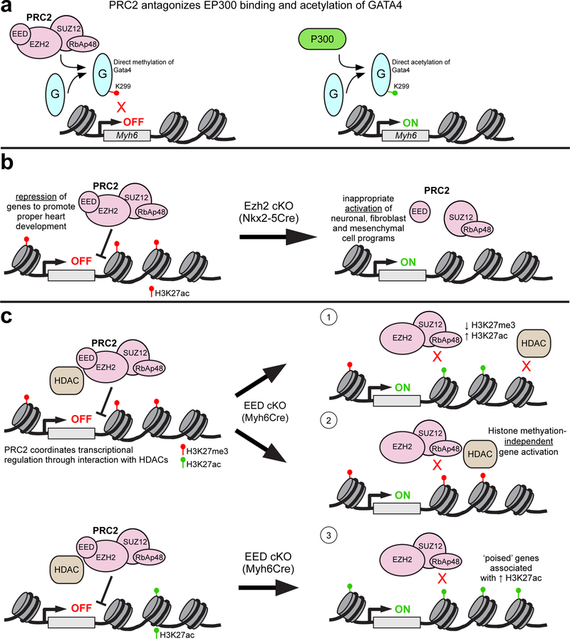 Figure 3: