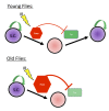 Figure 9.