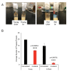 Figure 1—figure supplement 1.