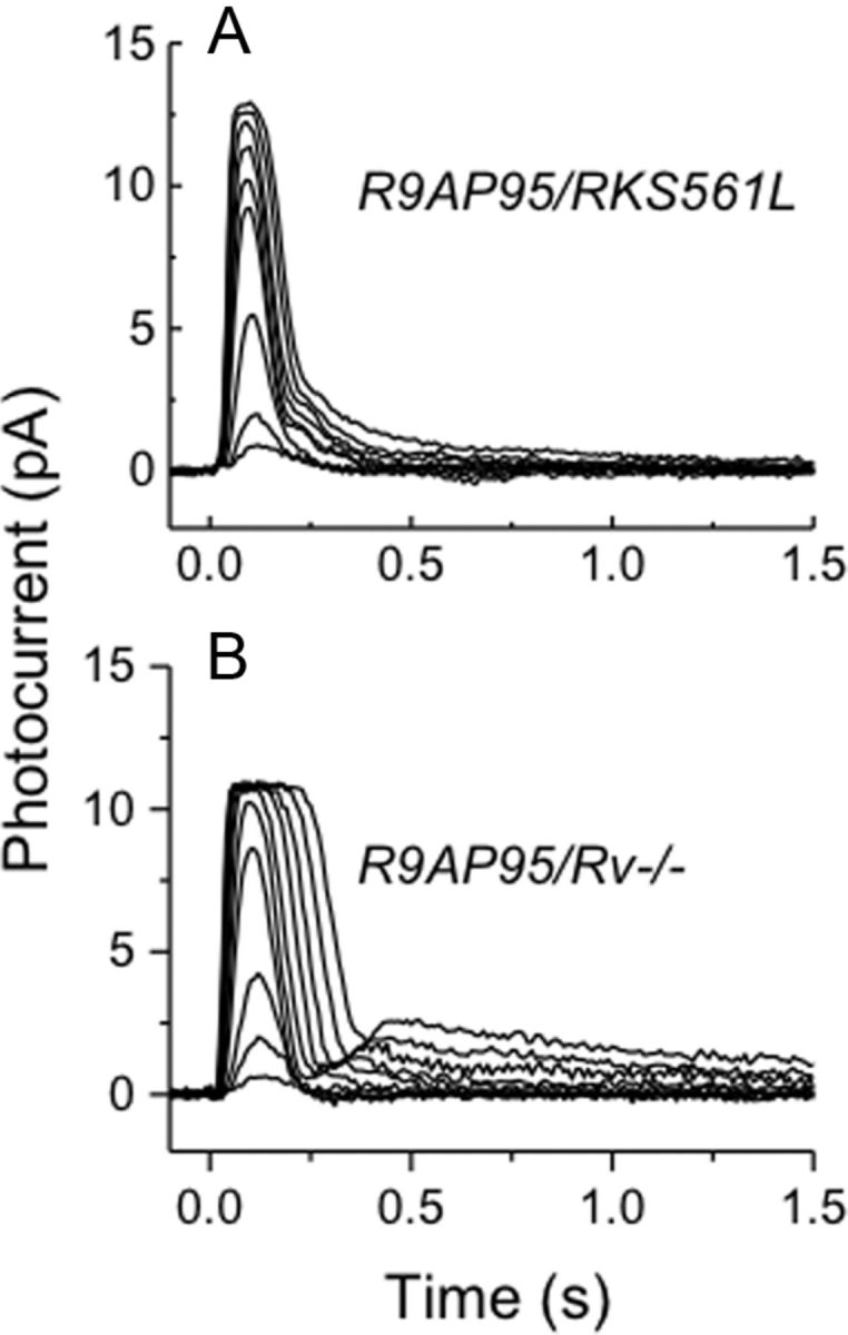 Figure 5.