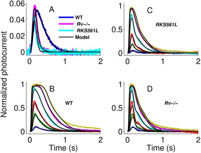 Figure 6.