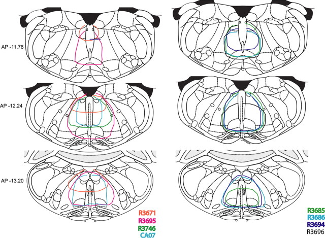 Figure 2.