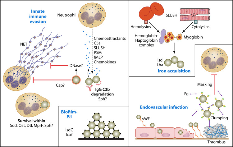 FIG 3