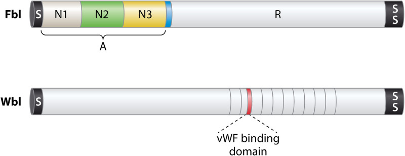 FIG 2