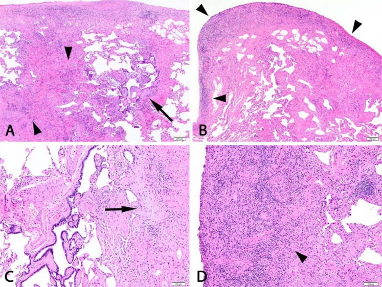 Fig. (2)