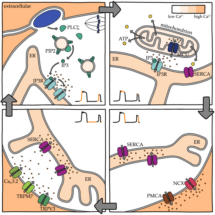 Figure 4.