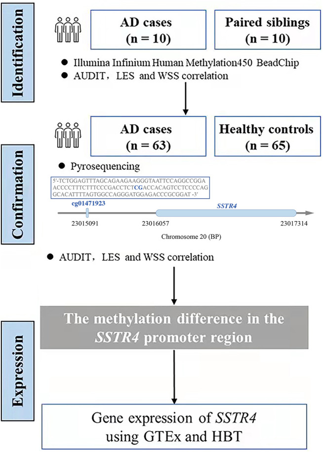 FIGURE 1