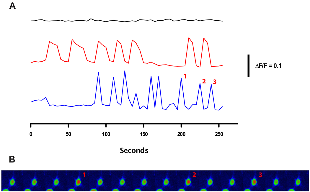 Figure 4.